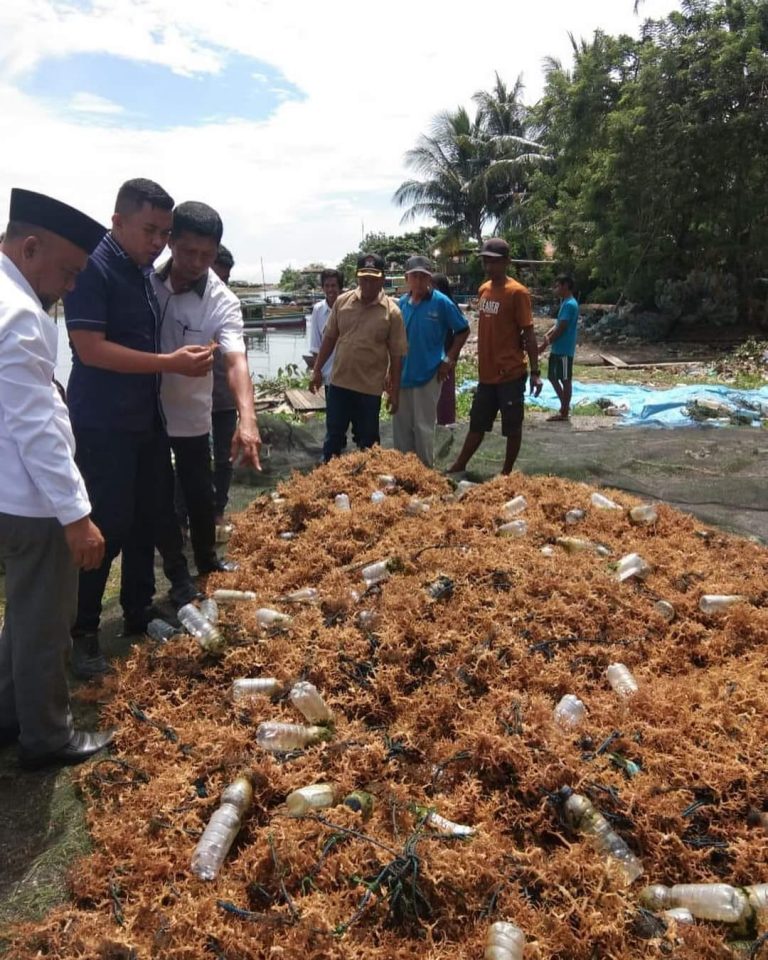 PT BTIIG Diduga Cemari Laut Dua Desa Di Morowali - Media Alkhairaat